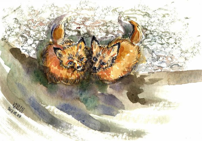 Un jour, dans le voisinage du lieu des aventures de Kounix, le lapin*, un couple de renards élevait ses petits.