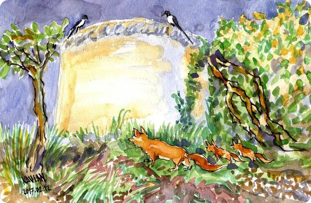 The mother fox knows that starting now, having reached a large cistern,* things become more complicated because the hunt begins. She turns to her twins to make sure they know to follow her. On top of the cistern two magpies stand guard.